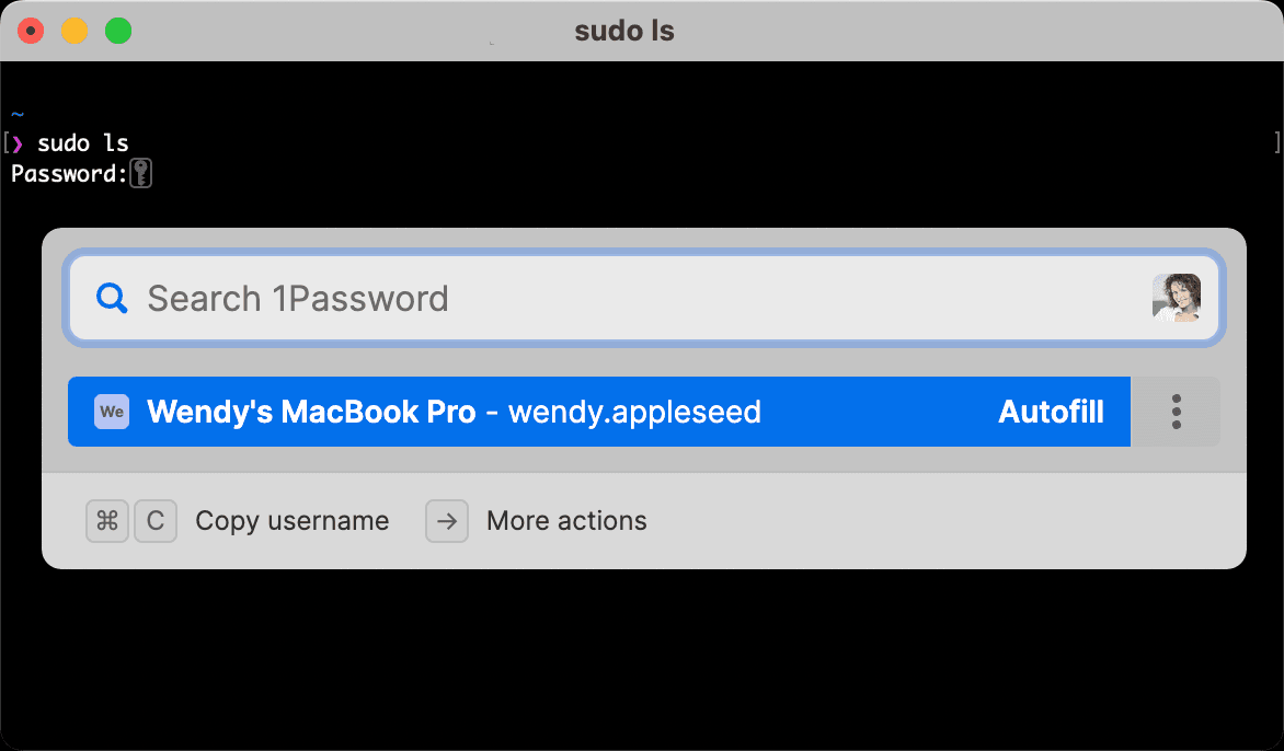 ターミナルでsudoのパスワードをQuick Accessから入力する画面